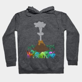 Visit Zoo Hoodie